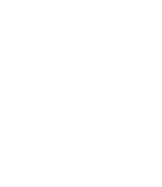 DIG Labs
